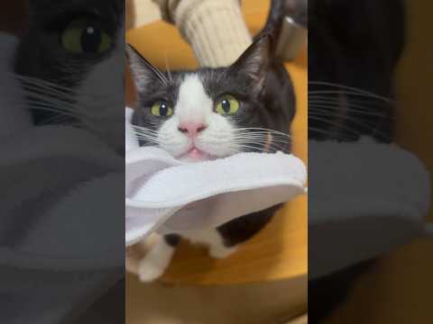 蟻みたい サムネイル