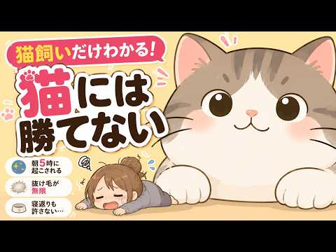 猫飼いなら絶対わかる、地味にしんどい猫の現実30選 猫あるある 飼い主あるある 猫の雑学 サムネイル