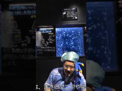 新生　加茂水族館のここがすごいよ！② 水族館 加茂水族館 aquarium Dr.クラゲさん サムネイル