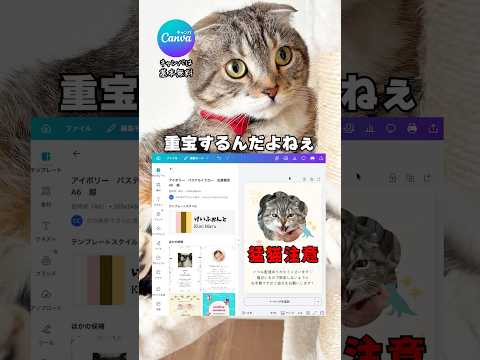 猫の脱走防止アイデアを考えたら身バレ待ったなしすぎた🤣🤣🤣 猫 サムネイル