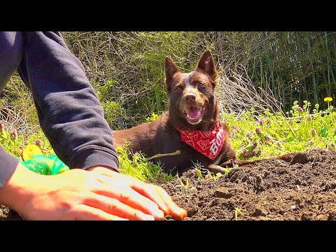 またこの時期がやってきた。一体何度季節は繰り返すのだろう？ サムネイル