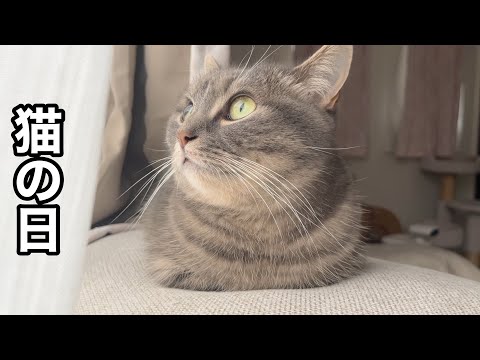 【猫の日】赤ちゃんに戻る王子と、おててが消える姫 サムネイル