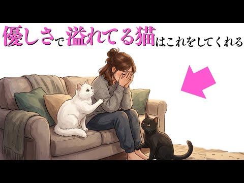 【優しさで溢れてる猫の特徴】猫の雑学 猫 ねこ サムネイル