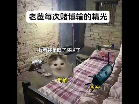 小时候的奇葩事有趣 猫meme 猫meme剧场 猫meme小剧场 内容过于真实  故事 貓 猫猫meme小剧场 喵不可言 サムネイル