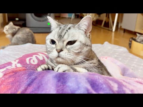 あいちゃんのベスポジ探し。 サムネイル