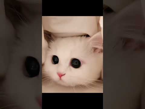 いや、君そんな顔する?🤣