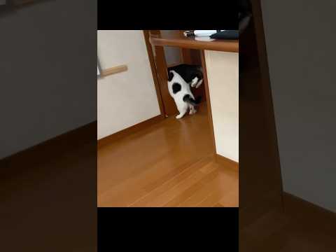 昨日のパニックを見て思い出したこと サムネイル