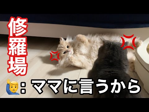 一緒に寝るはずが、なぜか修羅場になりました… サムネイル