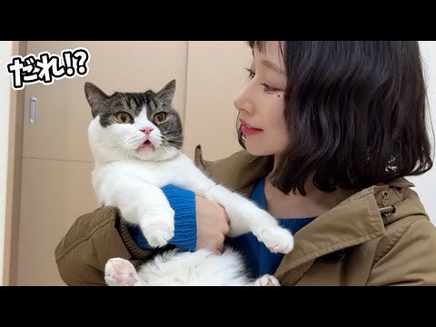 髪の毛をバッサリ切って帰ってきたら猫がビックリしてこうなったw w w