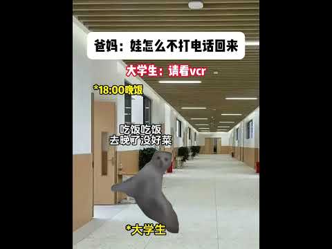 大学生忙的不明不白的一天 有趣 猫meme 猫meme剧场 猫meme小剧场 内容过于真实  故事 貓 猫猫meme小…