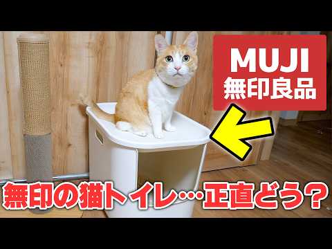【即完売】ついに無印良品が猫トイレを発売！！実際に猫たちに使ってもらった結果がまさかの… サムネイル