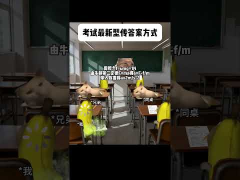 当你和同学在考场传答案有趣 猫meme 猫meme剧场 猫meme小剧场 内容过于真实  故事 貓 猫猫meme小剧场…