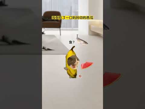 当你吃了一口妈妈切的西瓜 有趣 猫meme 猫meme剧场 猫meme小剧场 内容过于真实 故事 貓 猫猫meme小…