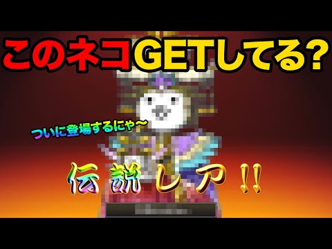 あの幻のにゃんこがもうすぐGETできるぞ！！！！！！！！！！！！！ サムネイル