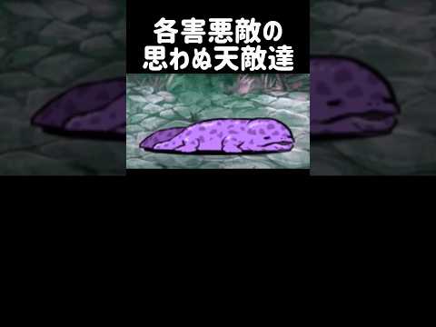 【熱戦、烈戦、超激戦】各害悪敵の思わぬ天敵達 にゃんこ大戦争 サムネイル