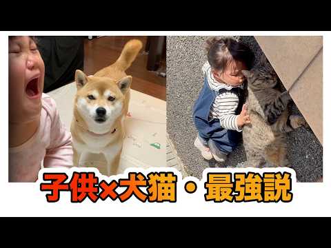 赤ちゃん × 犬猫、世界が優しくなる16選💝 サムネイル