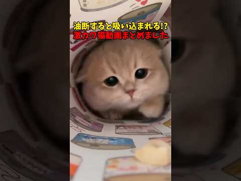 吸い込まれるぅぅう！