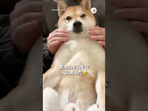 筋肉ムキムキな人に見えた🤭｜PECO サムネイル