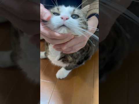 ハナクソをツマム サムネイル