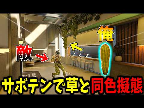 【Prop hunt】草の中で同色擬態していたらガン見されるサボテン サムネイル