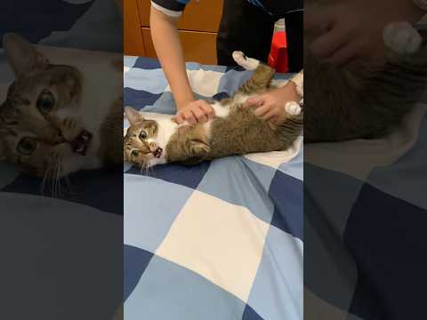 Rolling noodles サムネイル