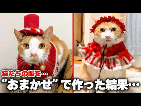 猫たちの衣装を”おまかせ”で注文したらとんでもない物が届きました…！！