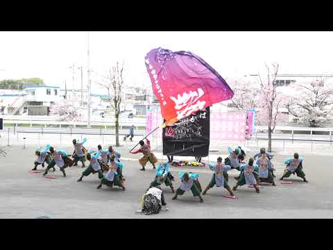 所沢風炎祇神伝～雅～＠2026　サクラタウンよさこい～春の特別祭～ サムネイル