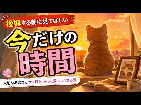 猫を見送ったあとに気づく「何気ない日常」の大切さ サムネイル