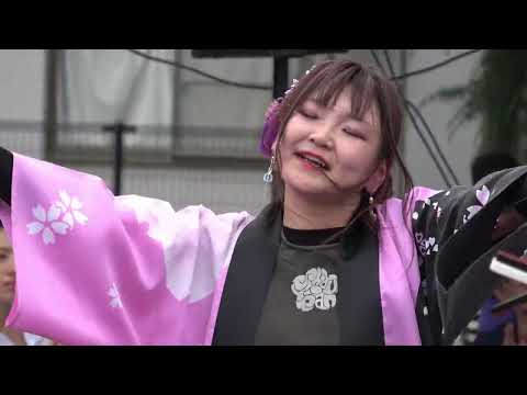 狭山YOSAKOI紗恋乱②＠2026　あじさい祭り＆国際交流の集い サムネイル