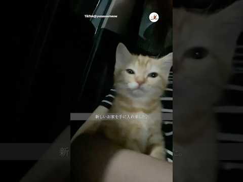 私の名前はゆずです｜PECO サムネイル