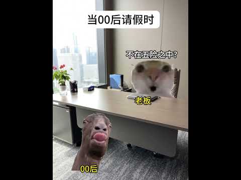 当00后请假时！ 有趣 猫meme 猫meme剧场 猫meme小剧场 内容过于真实  故事 貓 猫猫meme小剧场 喵…