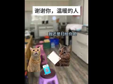 谢谢你，温暖的人 有趣 猫meme 猫meme剧场 猫meme小剧场 内容过于真实  故事 貓 猫猫meme小剧场 喵… サムネイル