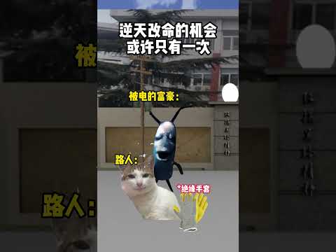富豪被电，逆天改命的机会只有一次 有趣 猫meme 猫meme剧场 猫meme小剧场 内容过于真实  故事 貓 猫猫m… サムネイル