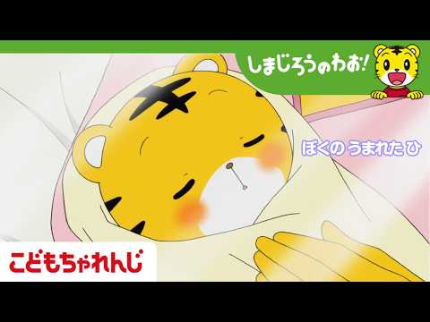 【16分アニメ】ぼくの　うまれた　ひ│誕生日│おもいやり│しまじろうのわお！アニメ│しまじろうチャンネル公式 サムネイル