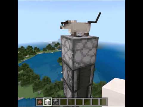 【マインクラフト】100匹のネコVSウサギ サムネイル