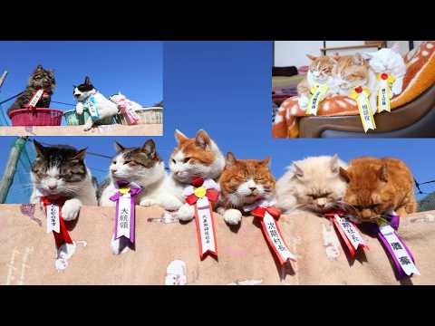 ２０２６年４月１日　人事異動　260401 サムネイル