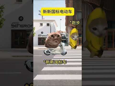 新新国标电动车 有趣 猫meme 猫meme剧场 猫meme小剧场 内容过于真实  故事 貓 猫猫meme小剧场 喵不…
