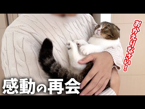 ずっと玄関で帰ってくるのを待ち続けた大好きな飼い主と3日ぶりに再会した猫がこうなった…【純愛】【噛み回】