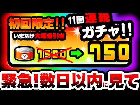 【緊急】今回のガチャ半額はいつ使うべきか解説します！　にゃんこ大戦争 サムネイル