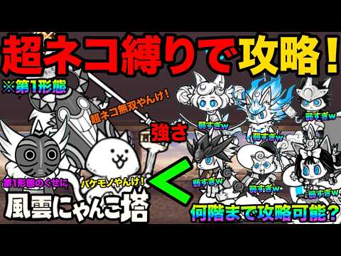 【神回】ちび超ネコ縛りでにゃんこ塔の何階まで進めるか検証してみたら50階までクリアできちゃった！？　にゃんこ大戦争 サムネイル