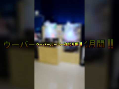 6月からは…？