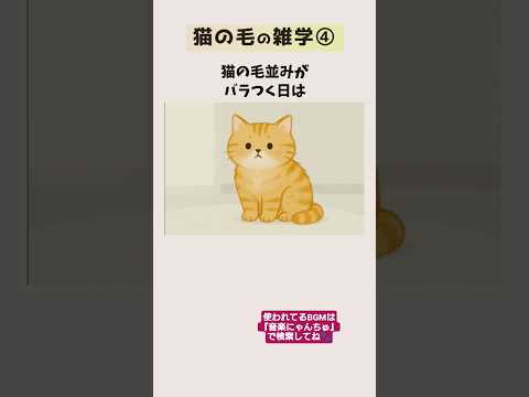 猫の毛の雑学22選④【猫毛・抜け毛・毛づくろい】 猫 雑学 豆知識 トリビア 音声「VOICEVOX:ずんだもん」さん サムネイル