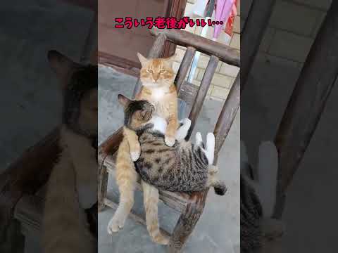 この子、天才なんよ😮