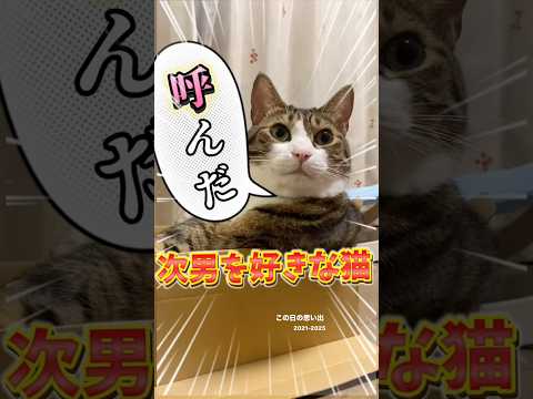 次男を好きな猫、母ちゃんにはドScats shorts 球太 サムネイル