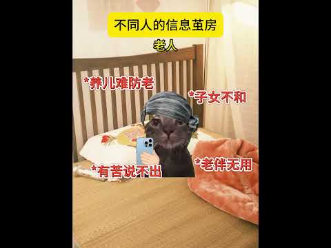 怎么样才能打破信息茧房呢？  有趣 猫meme 猫meme剧场 猫meme小剧场 内容过于真实  故事 貓 猫猫mem… サムネイル