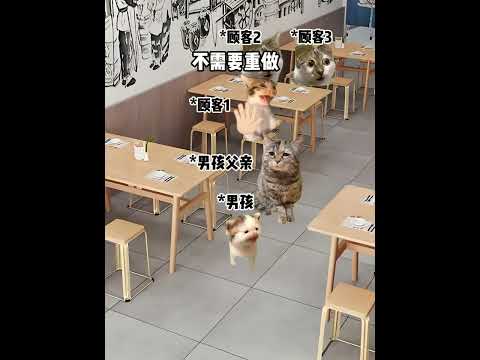 懂事的孩子让人心疼 有趣 猫meme 猫meme剧场 猫meme小剧场 内容过于真实  故事 貓 猫猫meme小剧场&hellip;