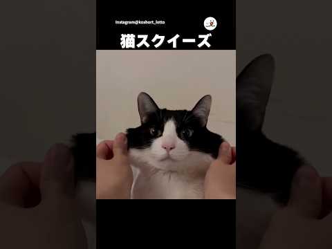 結構伸びる|PECO