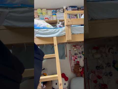 お父さんが帰ったことを伝えに行ったら サムネイル