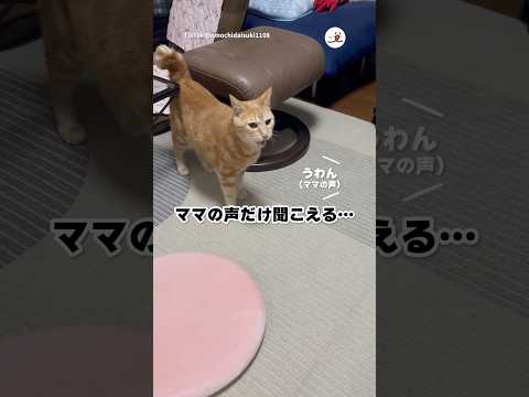 かくれんぼしてみたくなって…|PECO