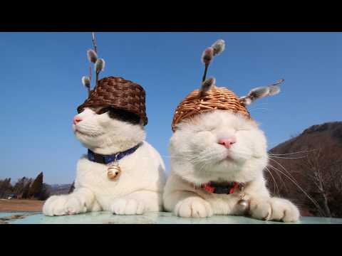 うずまきLIVE配信？　放置？　2026年4月19日 サムネイル